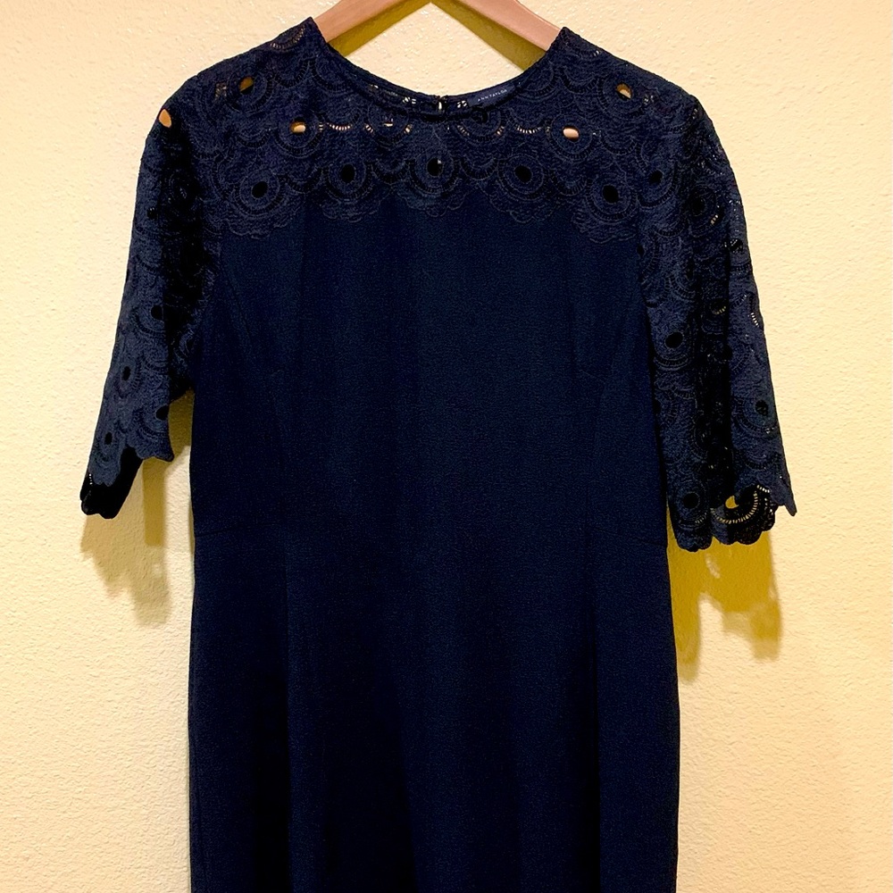 Ann Taylor dress 12
